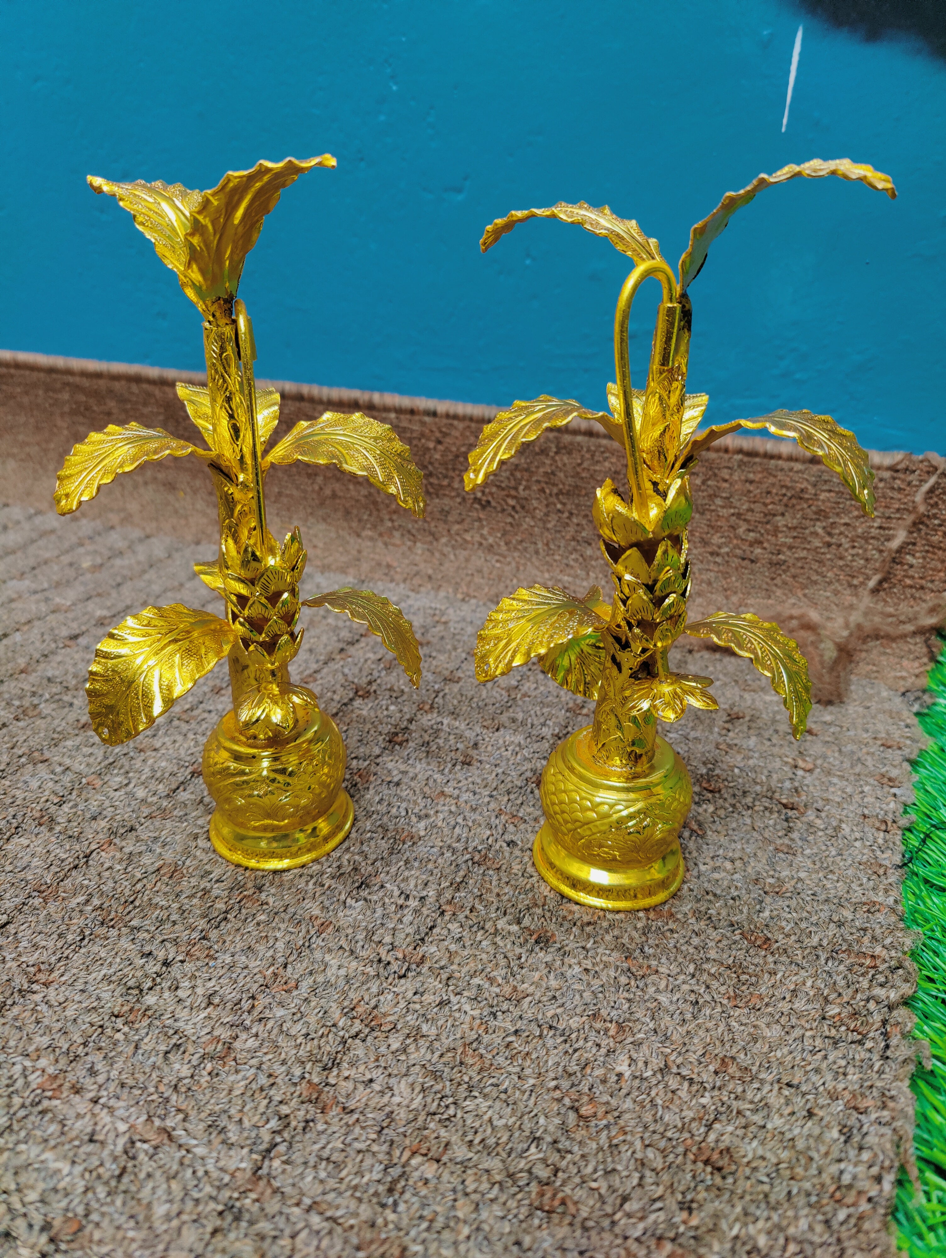 GS Gold Banana Tree 10-11" Pair