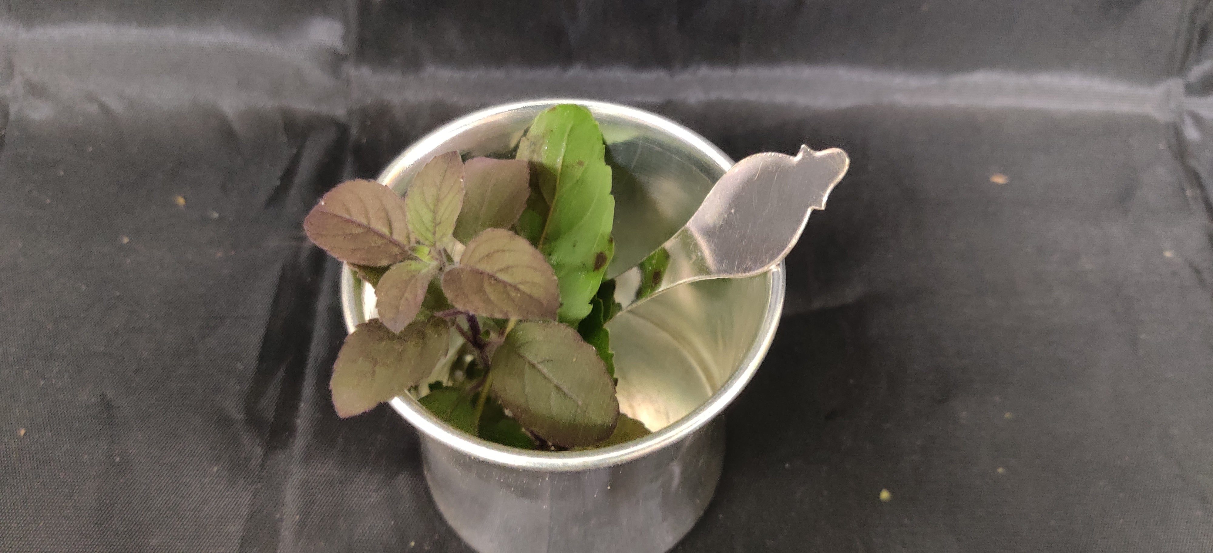 German Silver Panchapatra Big 4"