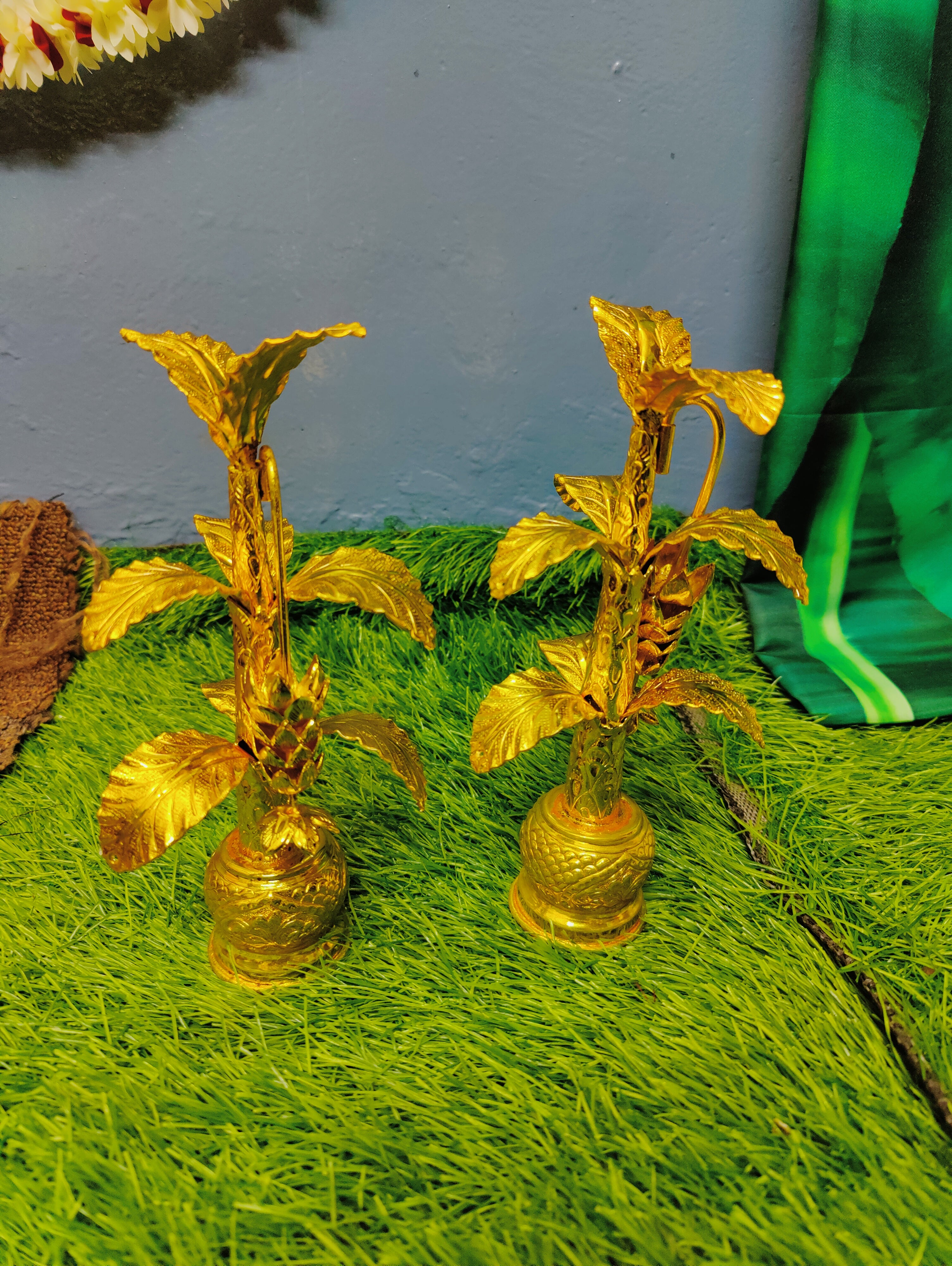 GS Gold Banana Tree 10-11" Pair