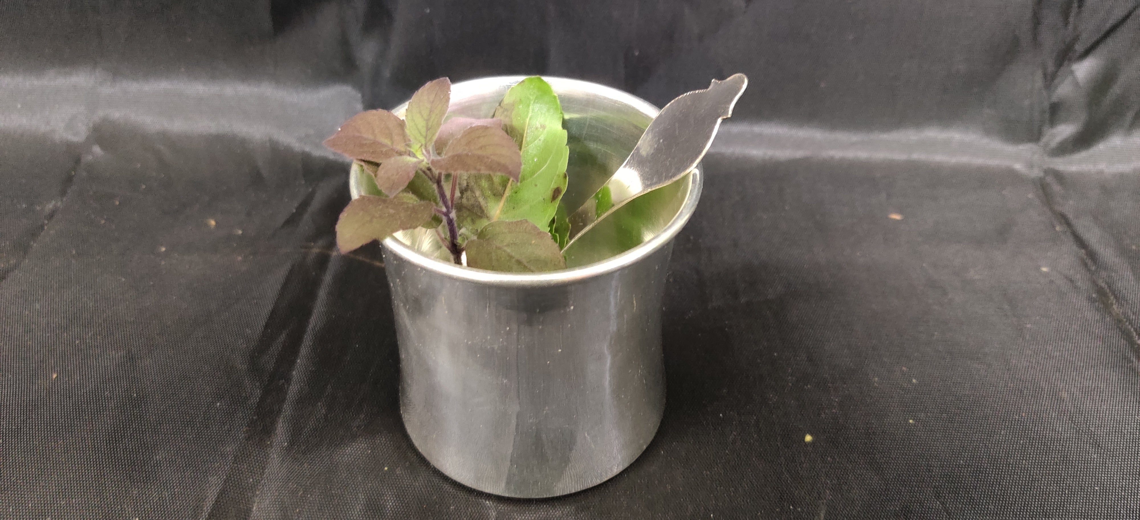 German Silver Panchapatra Big 4"